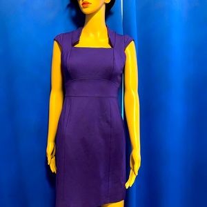 Antonio Melani’s purple elegant yet conservative dress